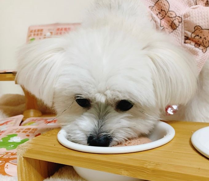 女人知己試用大隊,口碑行銷,部落客行銷,自然食 成長機能主食餐包,自然食,成長機能狗狗主食餐包,成長機能貓咪主食餐包,滿足毛孩最單純的幸福,人食等級食材,開封即食,綿密的肉泥狀質地,好吸收,無膠類,無色素,無防腐劑的添,維持腸道健康,添加DHA/靈芝多醣體,使用高優質蛋白,適口性佳,狗狗口味,犬用營養火雞,犬用嫩雞牛肉,貓咪口味,貓用營養嫩雞,貓用嫩雞鮪魚